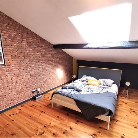 La Terrasse De Jeanne - Vue Magnifique - Netflix Apartman Toulouse Kültér fotó