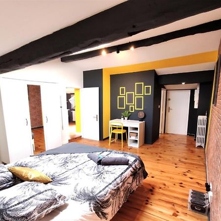 La Terrasse De Jeanne - Vue Magnifique - Netflix Apartman Toulouse Kültér fotó