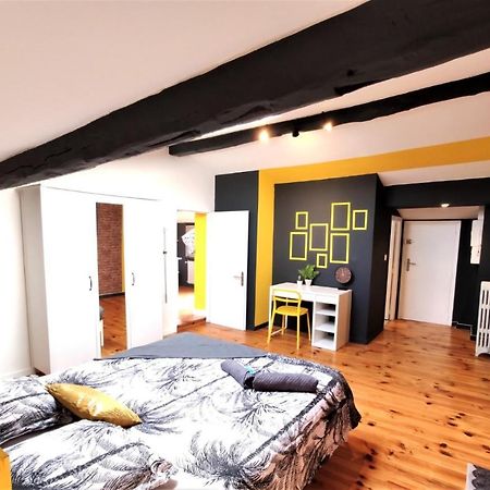 La Terrasse De Jeanne - Vue Magnifique - Netflix Apartman Toulouse Kültér fotó