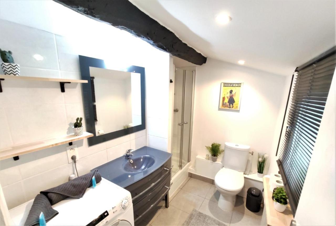 La Terrasse De Jeanne - Vue Magnifique - Netflix Apartman Toulouse Kültér fotó