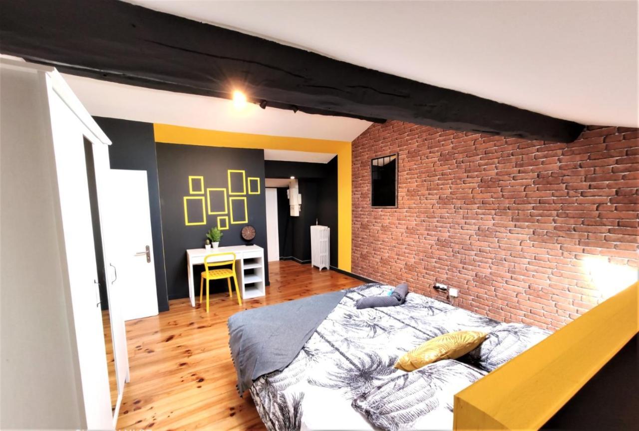 La Terrasse De Jeanne - Vue Magnifique - Netflix Apartman Toulouse Kültér fotó