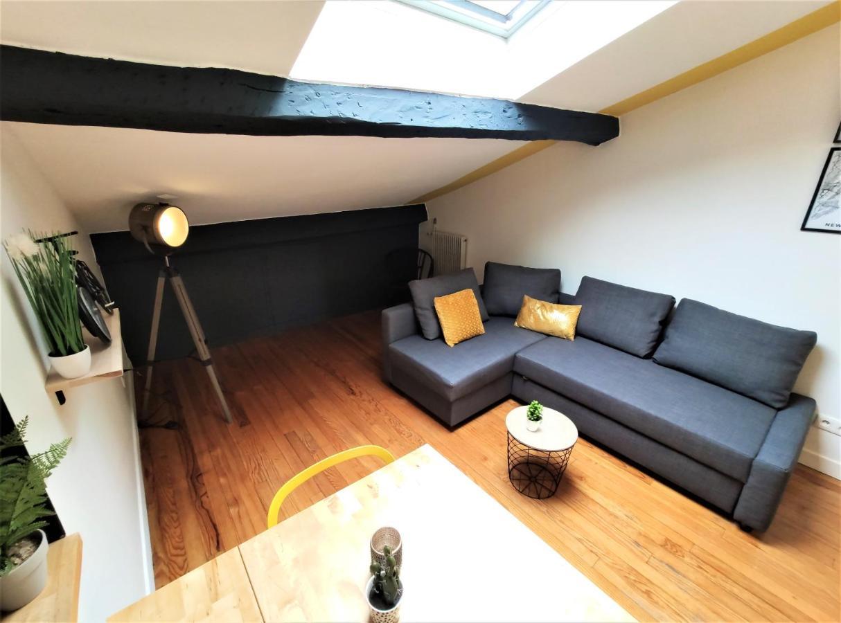 La Terrasse De Jeanne - Vue Magnifique - Netflix Apartman Toulouse Kültér fotó